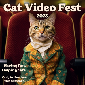 A film festival dedicated entirely to funny cat videos is coming to  Columbus - 614NOW